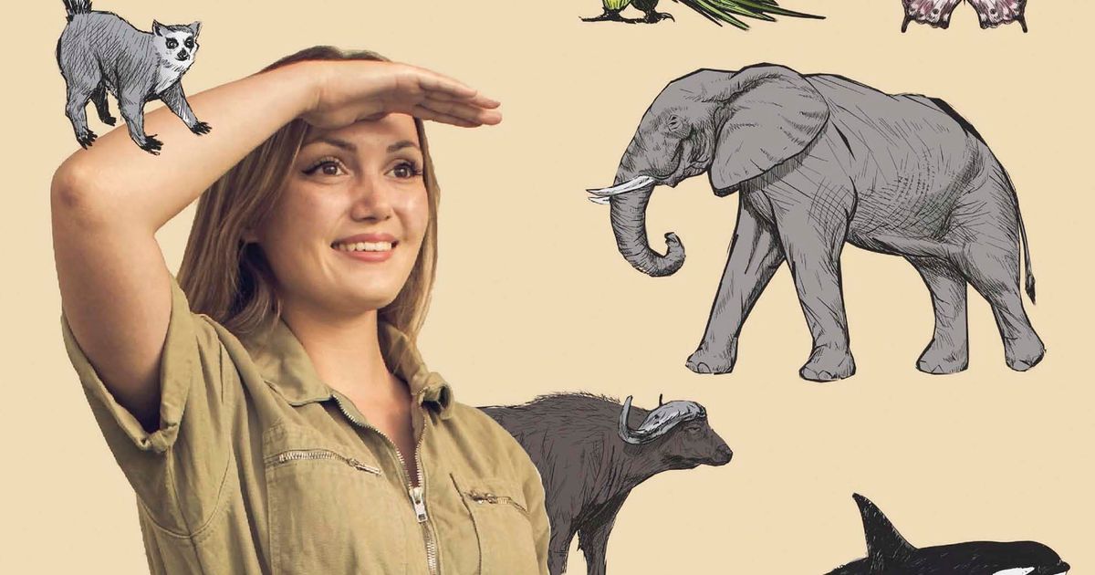 Sterrin's Dierenencyclopedie - De grote feit- & fabelshow (6 ...