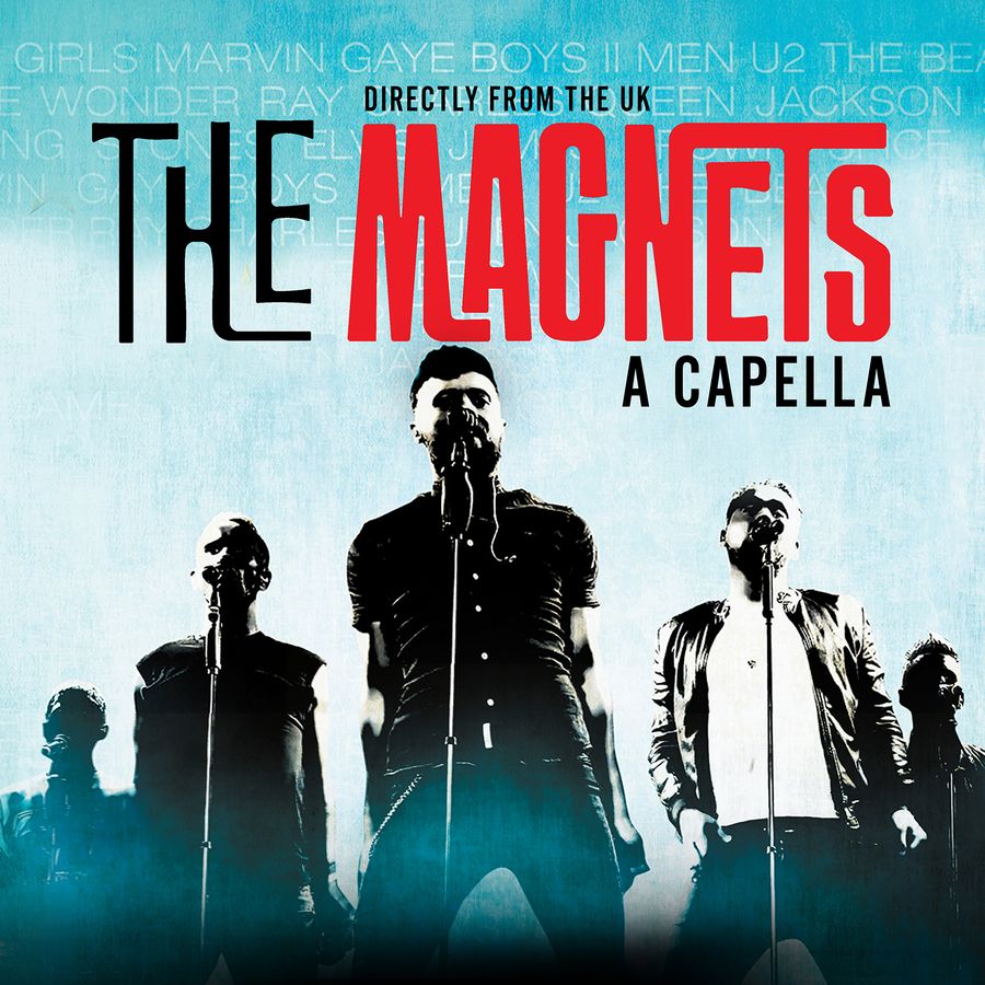 Posterbeeld van The Magnets