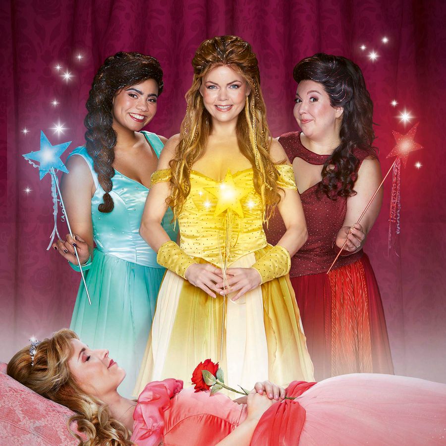 Posterfoto van Doornroosje de Musical.
